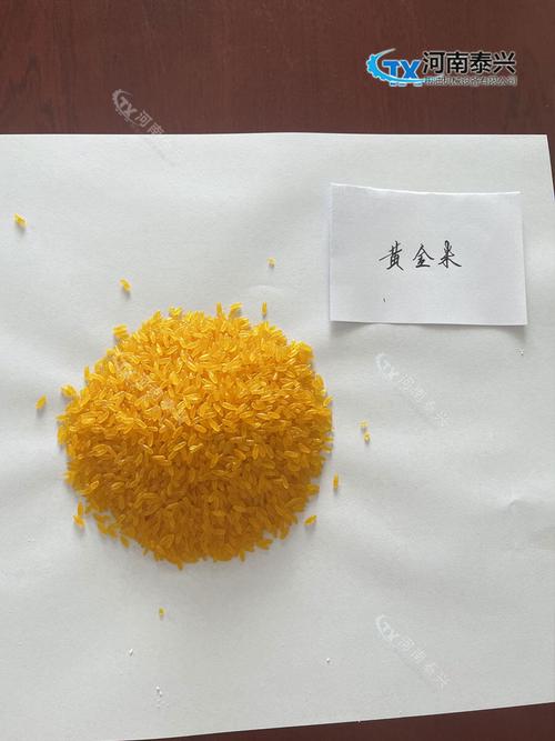河南泰兴粮油机械 玉米联产生产线，赋能粮油加工新未来